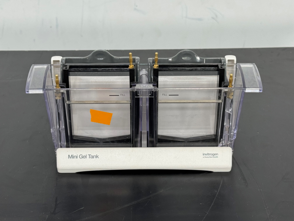 Image of Invitrogen Mini Gel Tank